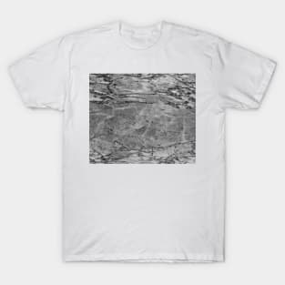 Slate grey marble T-Shirt